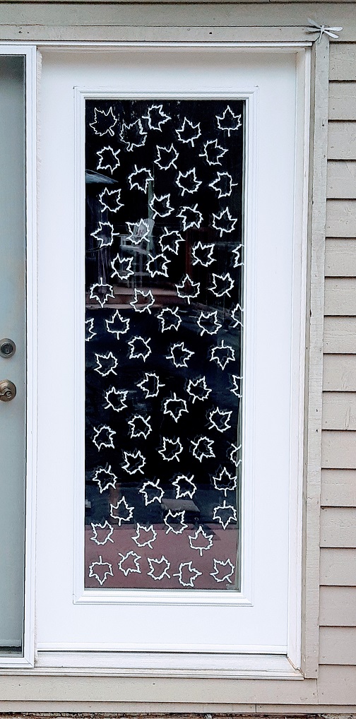 Homes Safe For Birds BirdSafe