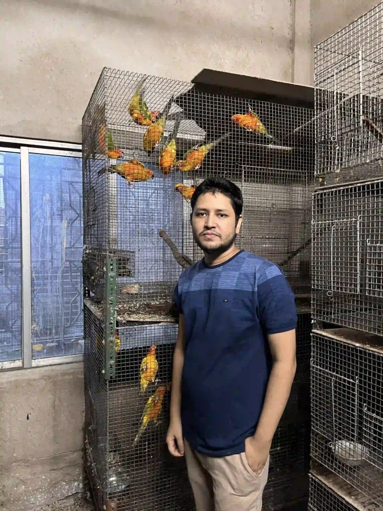 Bird Symbolism And Spirituality Birdserenity