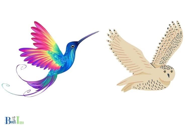 Are Hummingbirds Afraid Of Owls
