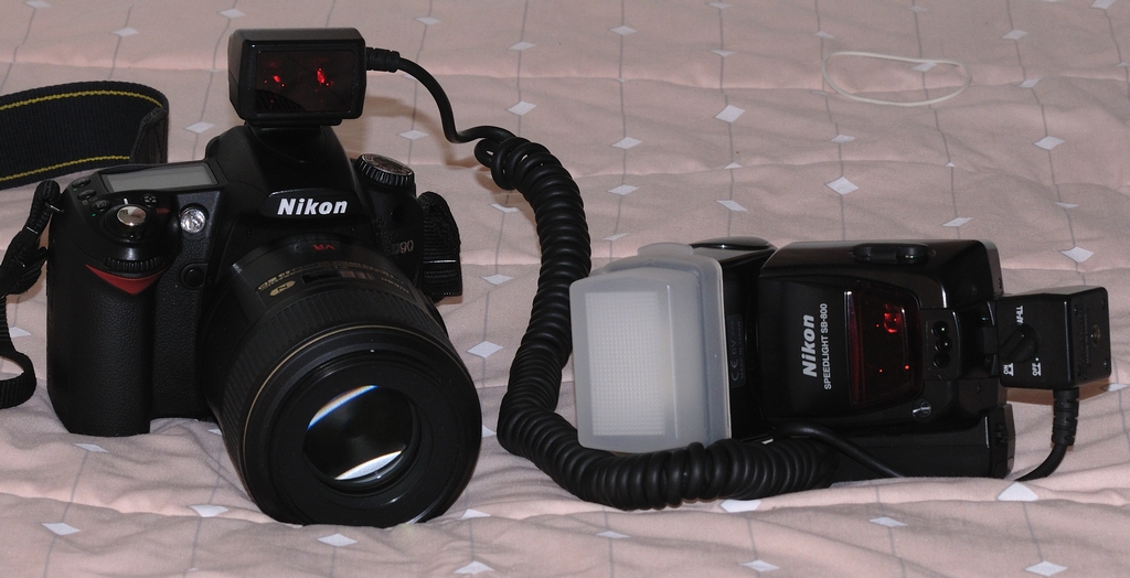 Nikon sc 29 Nikon Coolpix Talk Forum Digital Photography Review