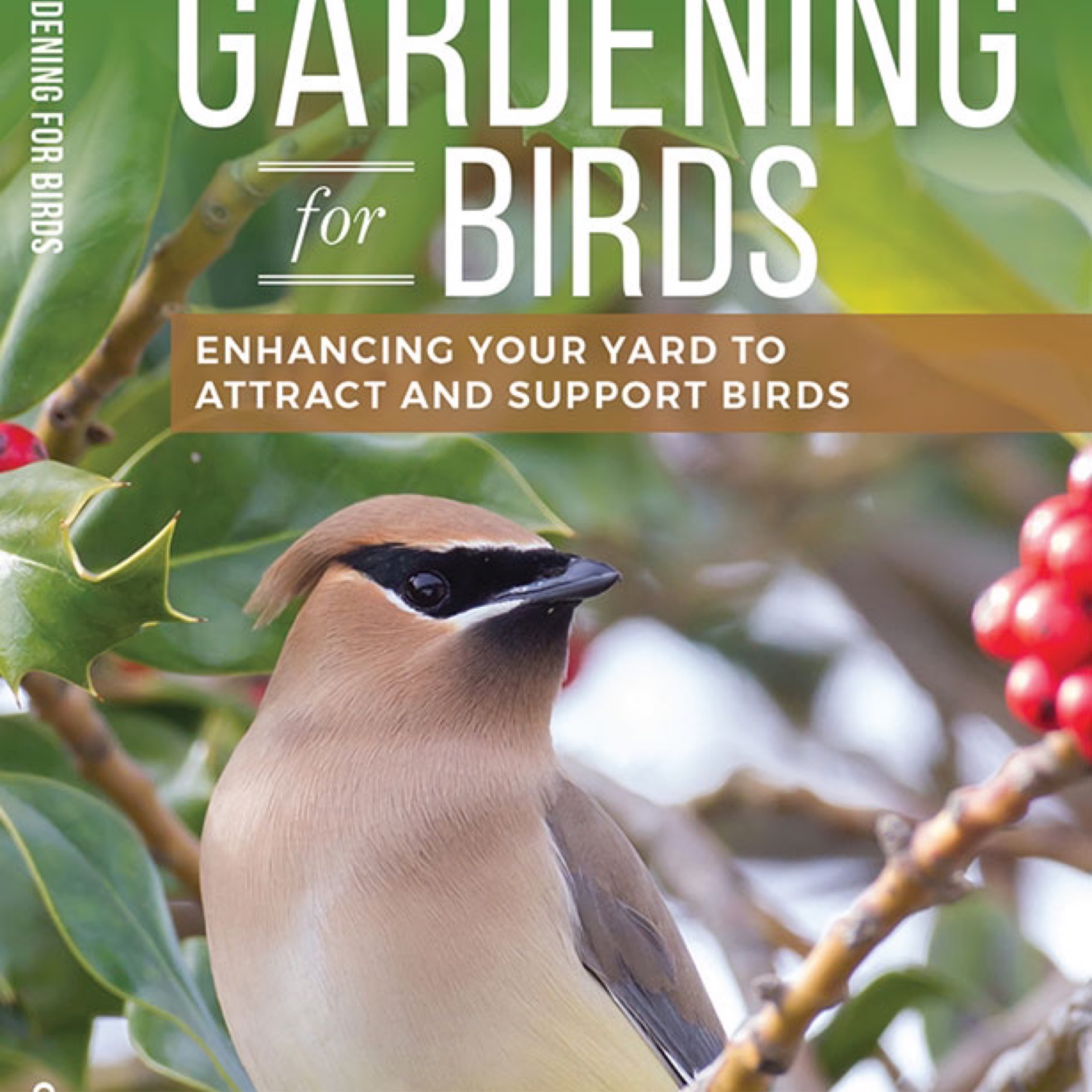 Gardening for Birds (Cornell Lab of Ornithology folding guide) Birds