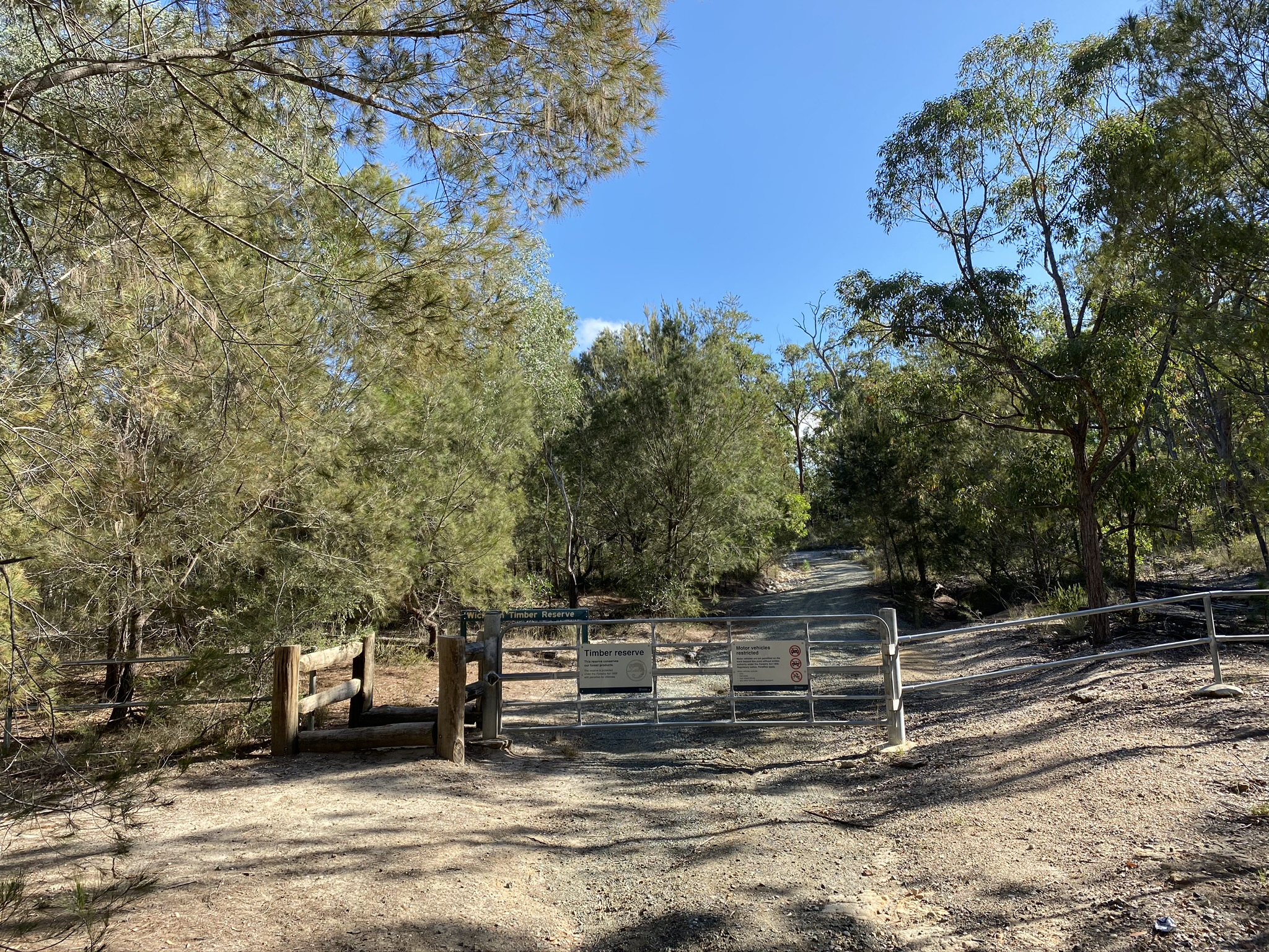 Plunkett Conservation Reserve, Sep 2020 Bird Spots
