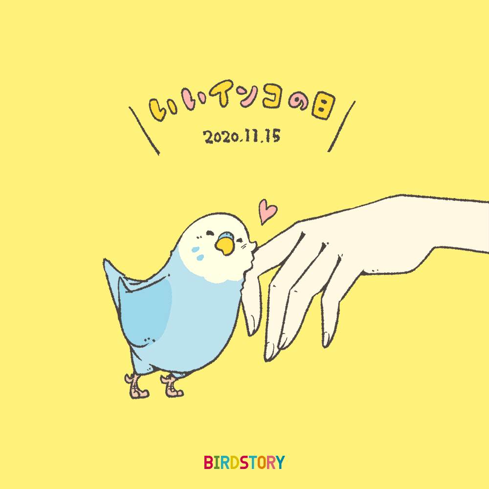 無料イラスト アイコンセキセイインコ いいインコの日 11月15日のイラスト｜Birdstory