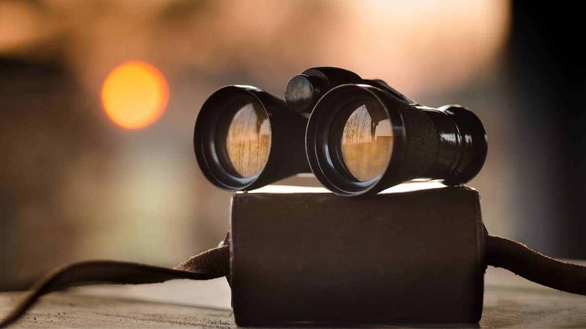 What Does 10x25 Mean On Binoculars? A Helpful Guide Birds Tracker