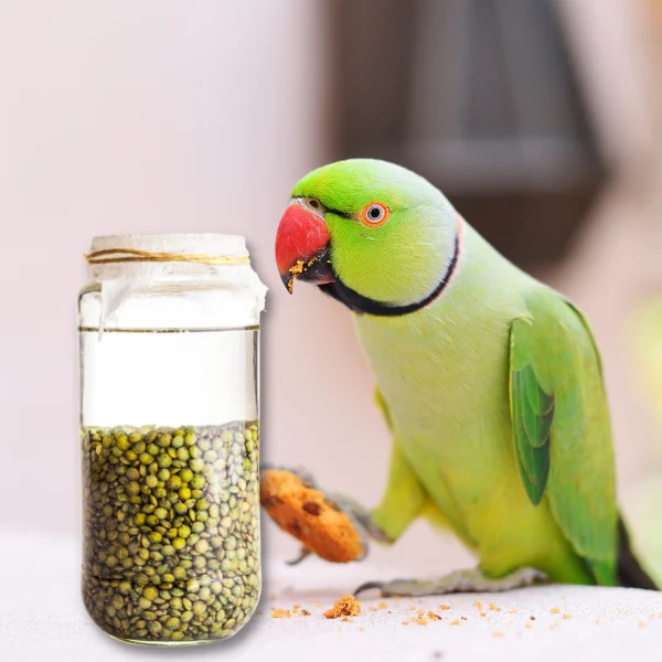 UnRuffledRx Hemp Seeds for Birds