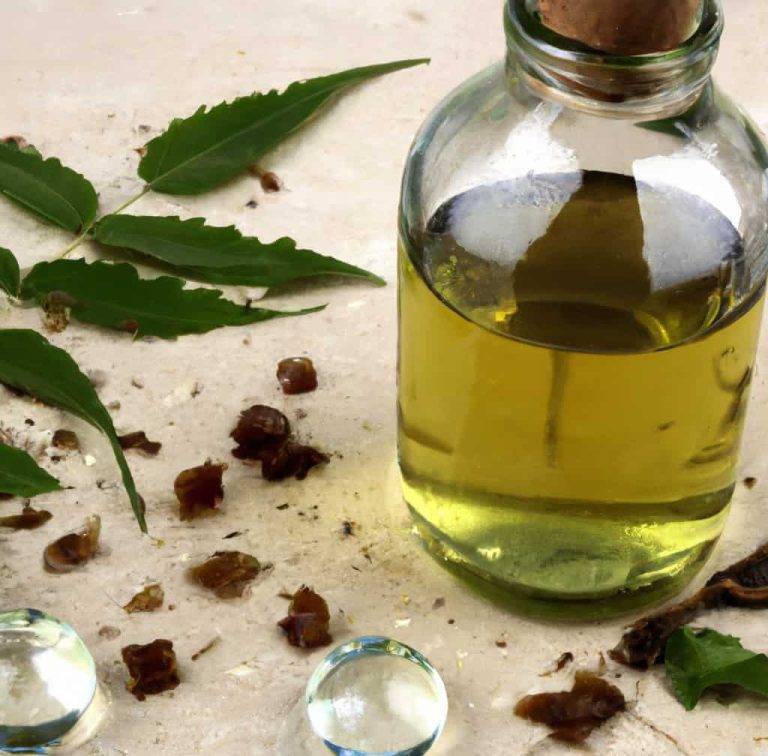 Are Essential Oils Safe for Birds The Pros and Cons