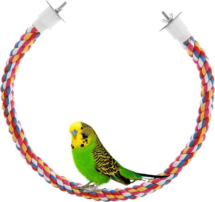 Rope Perches for Birds 7 Essential Types Explored