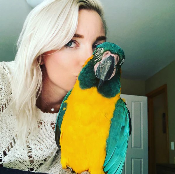 How I Used Jealousy to Train a Handicapped Macaw