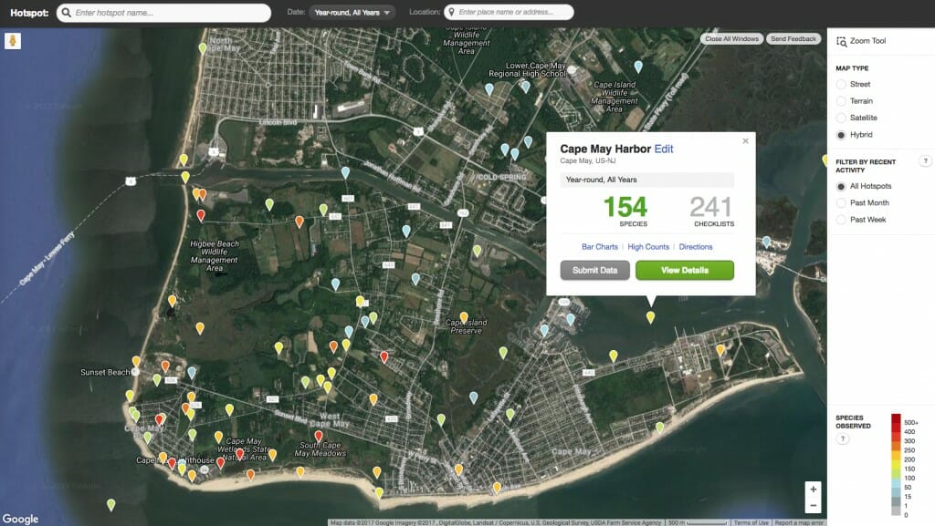 Best Birding Apps [The Birdwatchers Guide For 2022] Birdwatching Buzz