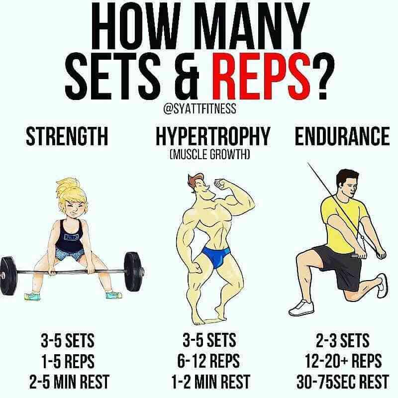 The Complete Properly Done Squat Guide 12 Benefits, Muscles Worked