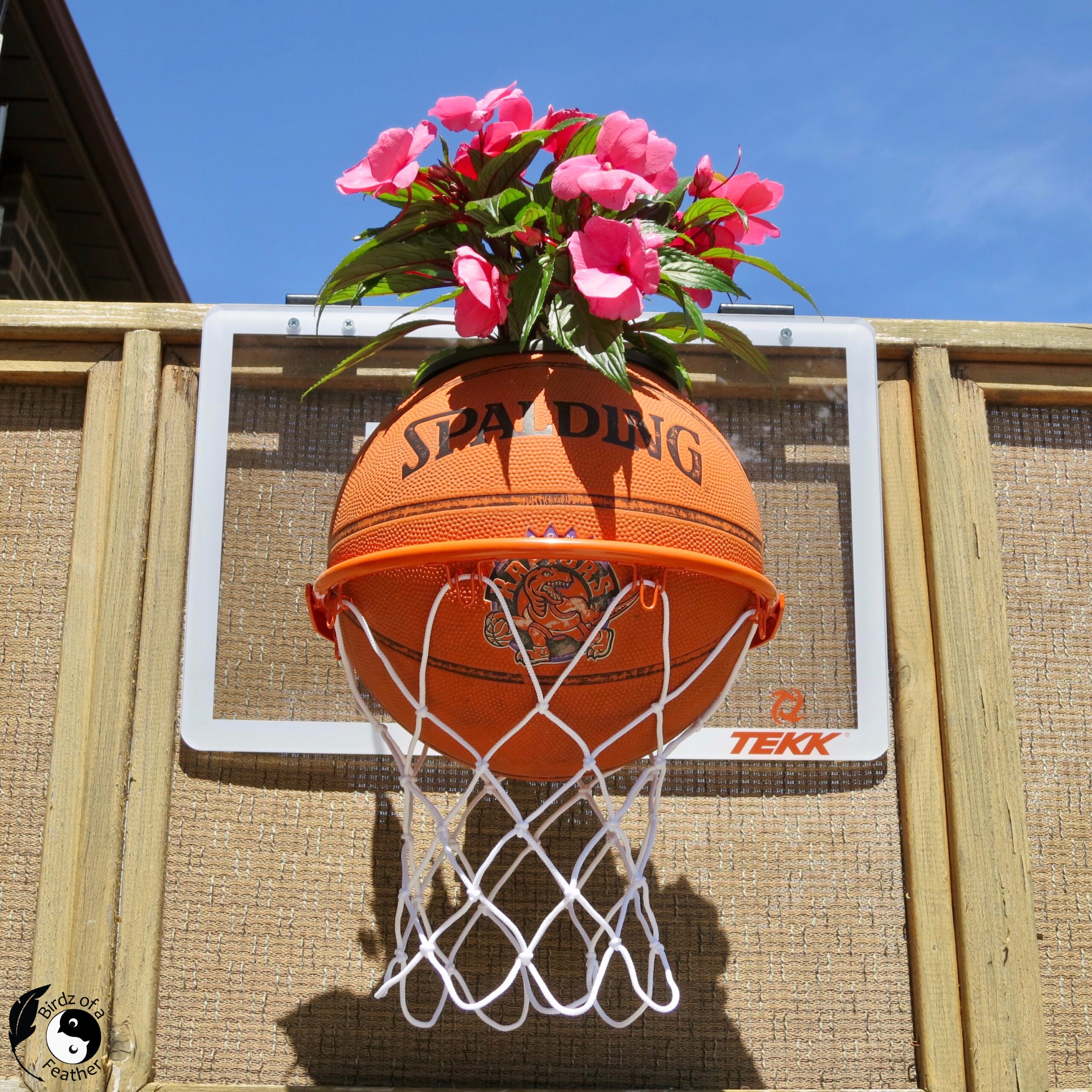 Basketball Planter (Indoor/Outdoor) Birdz of a Feather