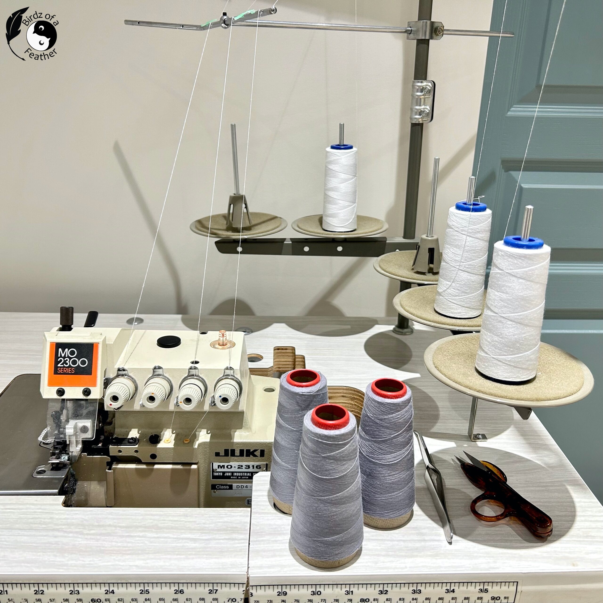 How to Change Serger Thread the Easiest Way to do it! Birdz of a Feather