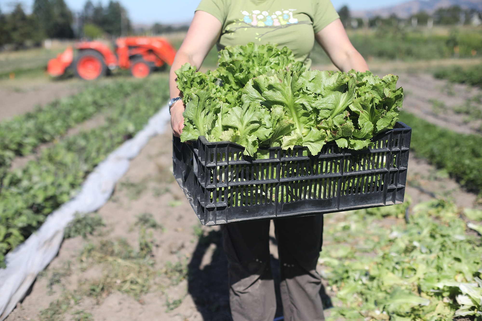 BiRite Family of Businesses Product Mission BiRite