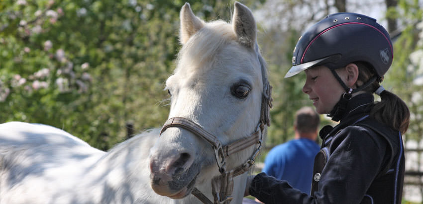 Reitschule für Kinder Birkenhof Eifel