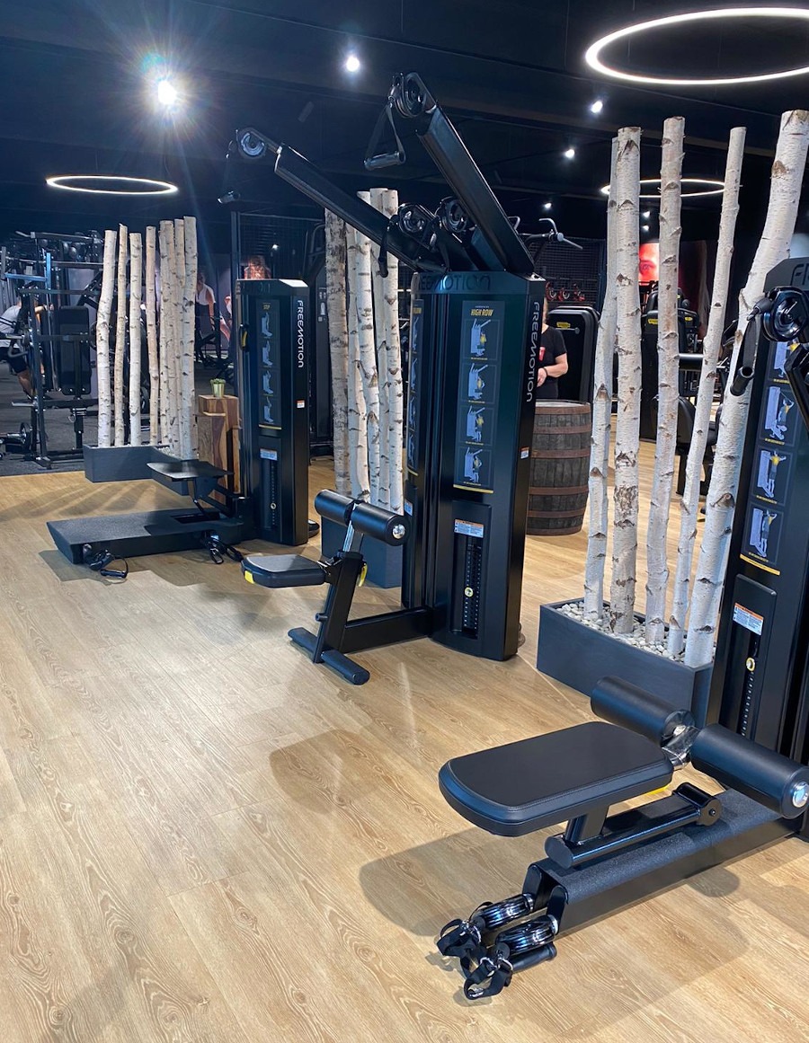 Birkenstämme als Raumteiler in Fitnessräumen Birkenstämme für Ihr