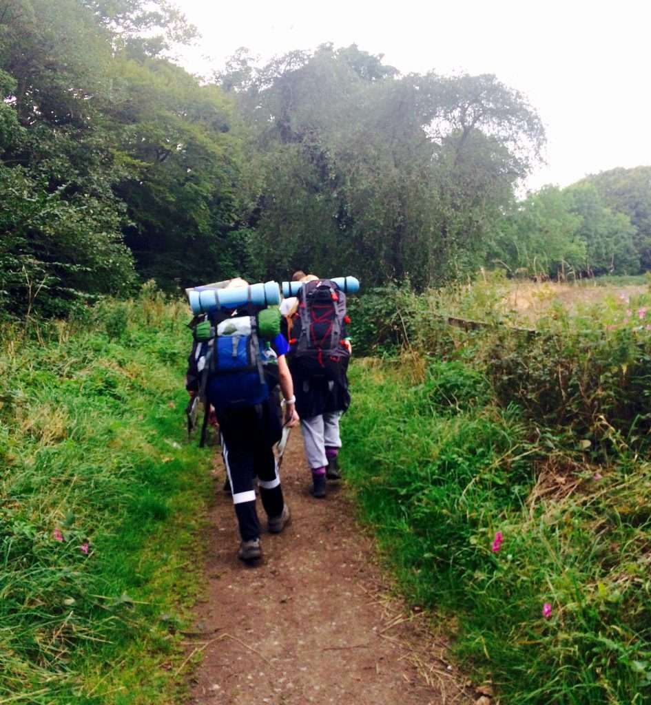 Gallery Birkheads Wild