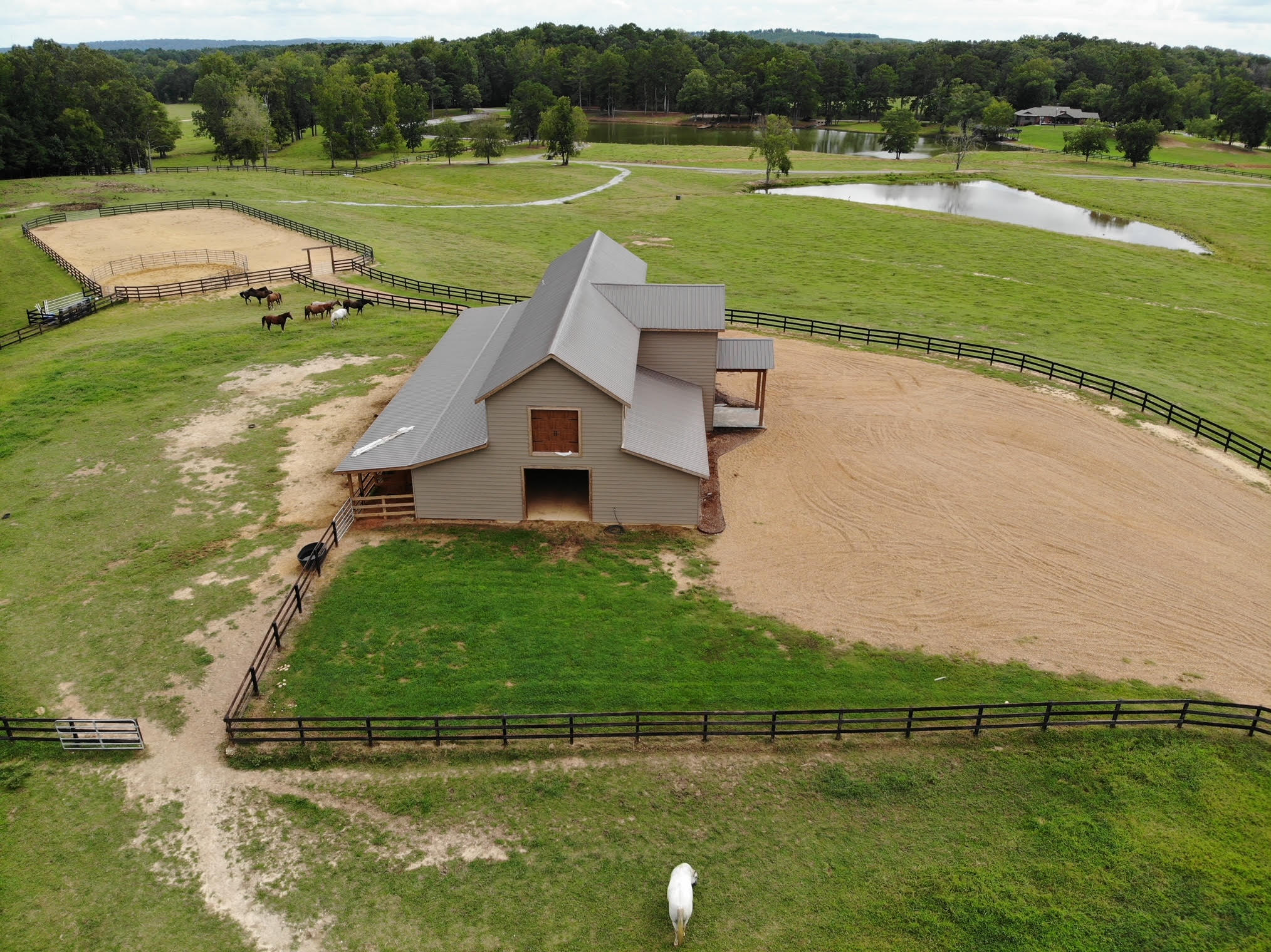 Big Oak Ranch Birmingham Christian Family Magazine