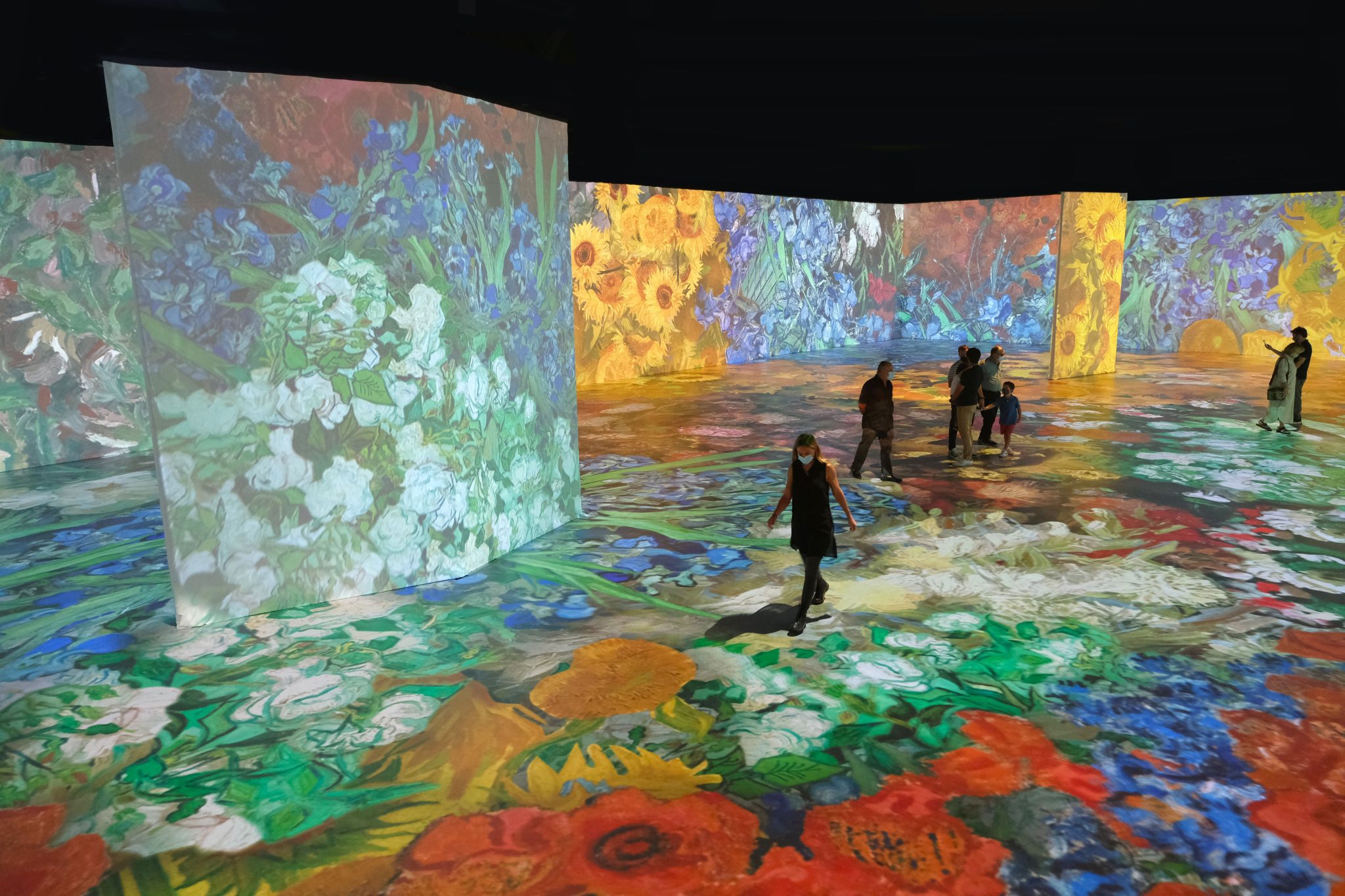 How Much Does Beyond Van Gogh Cost at Albert Mccord blog