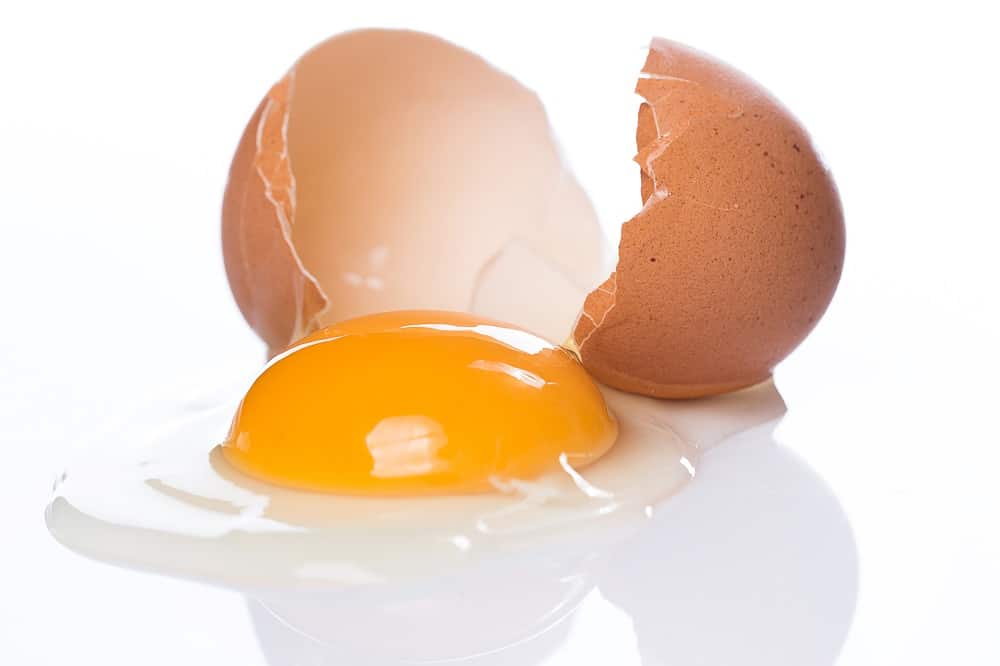 Can You Eat Mayonnaise While Pregnant? Pasteurization Explained