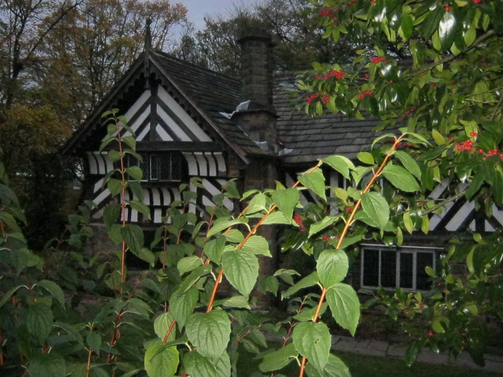 House, Norton Lees and beyond House
