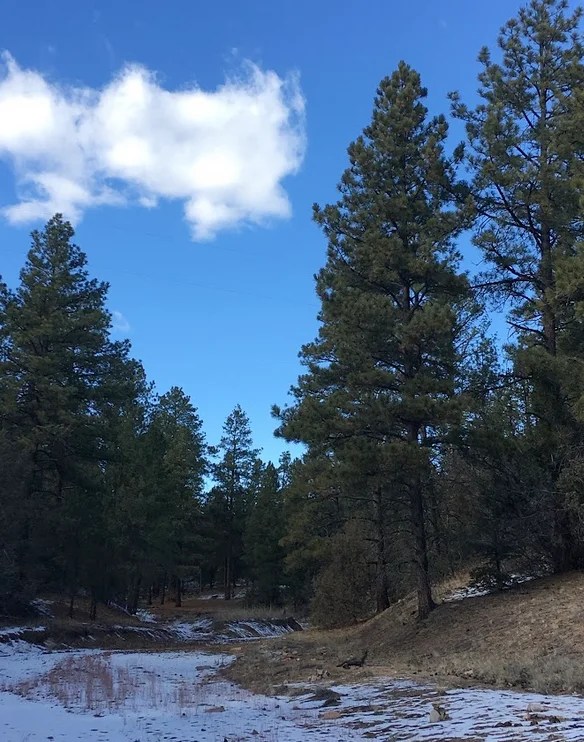 Retreat Facilities Ridge