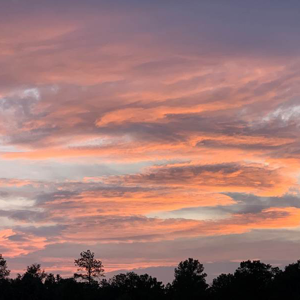 Contact & Book Ridge