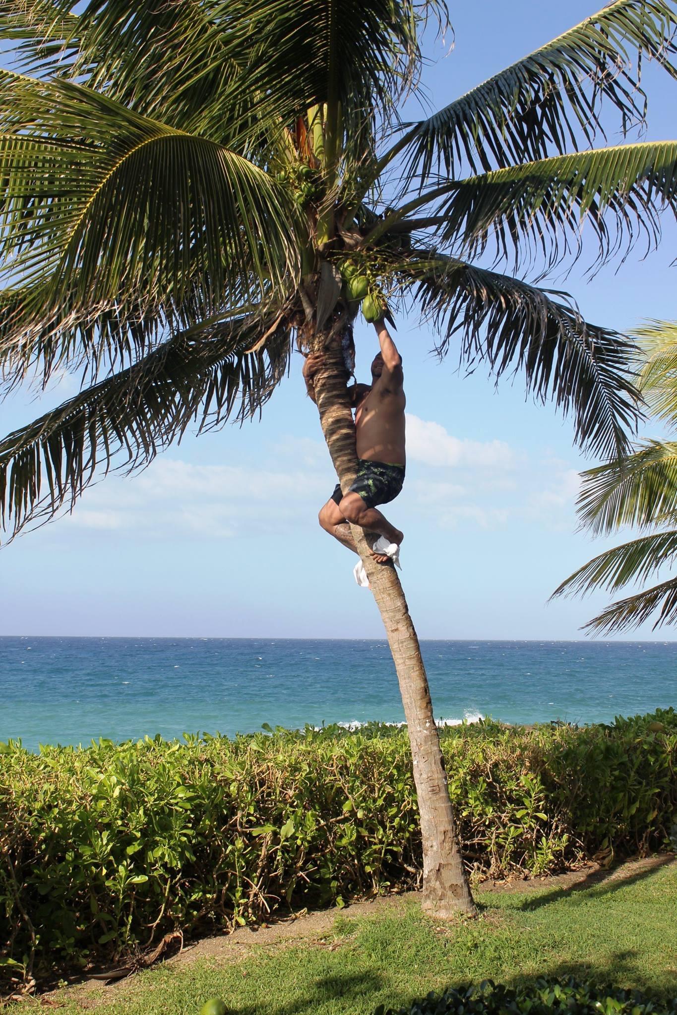 Climbing coconut trees prepares student for lineworker career