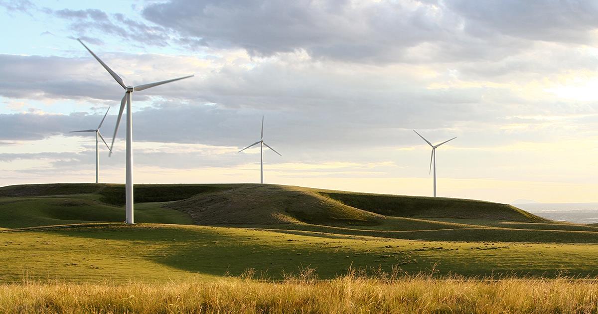 Faces of North Dakota's WindEnergy sector set for massive boom