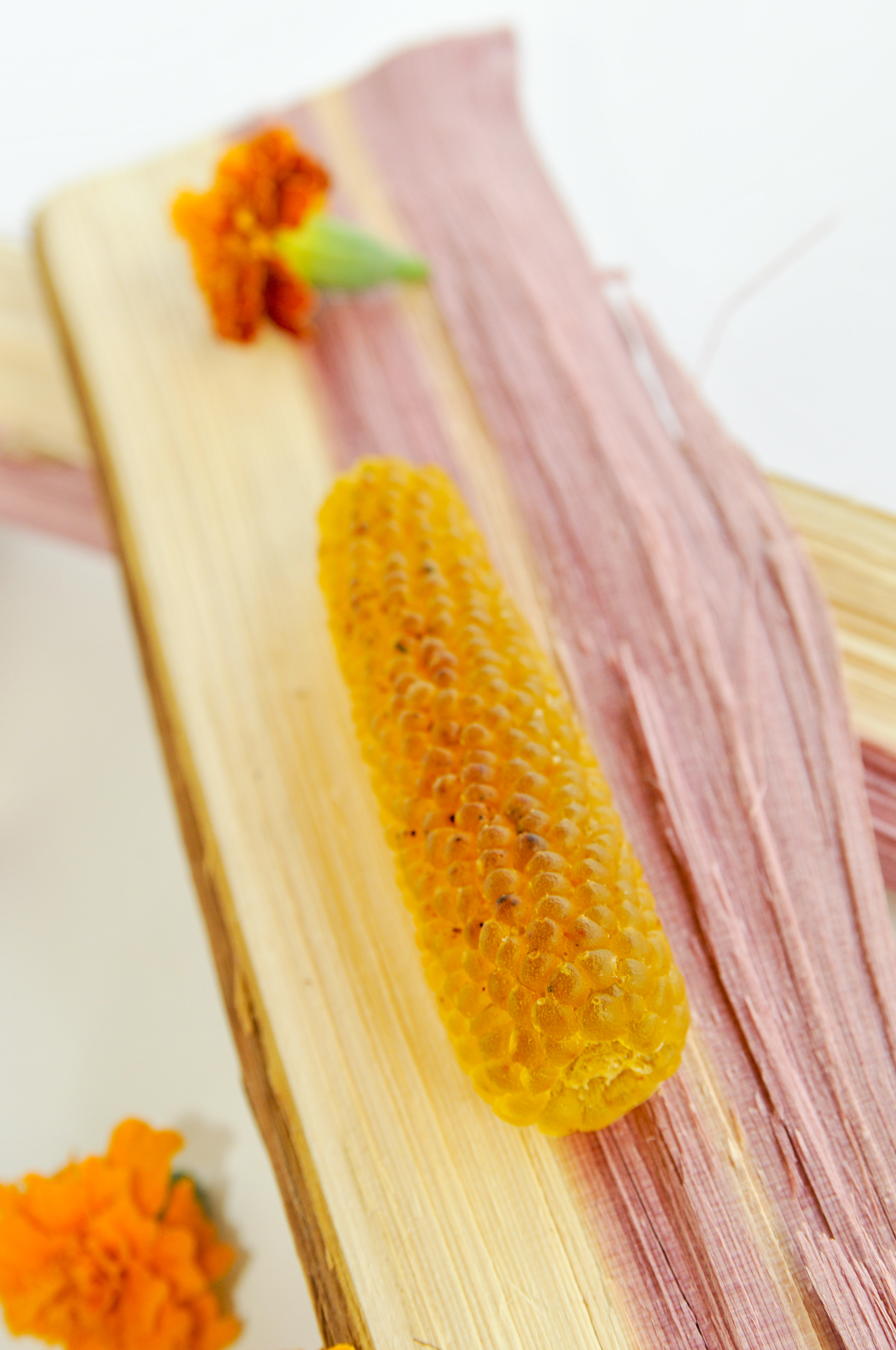 Corn Soap Bundle Bison Star Naturals