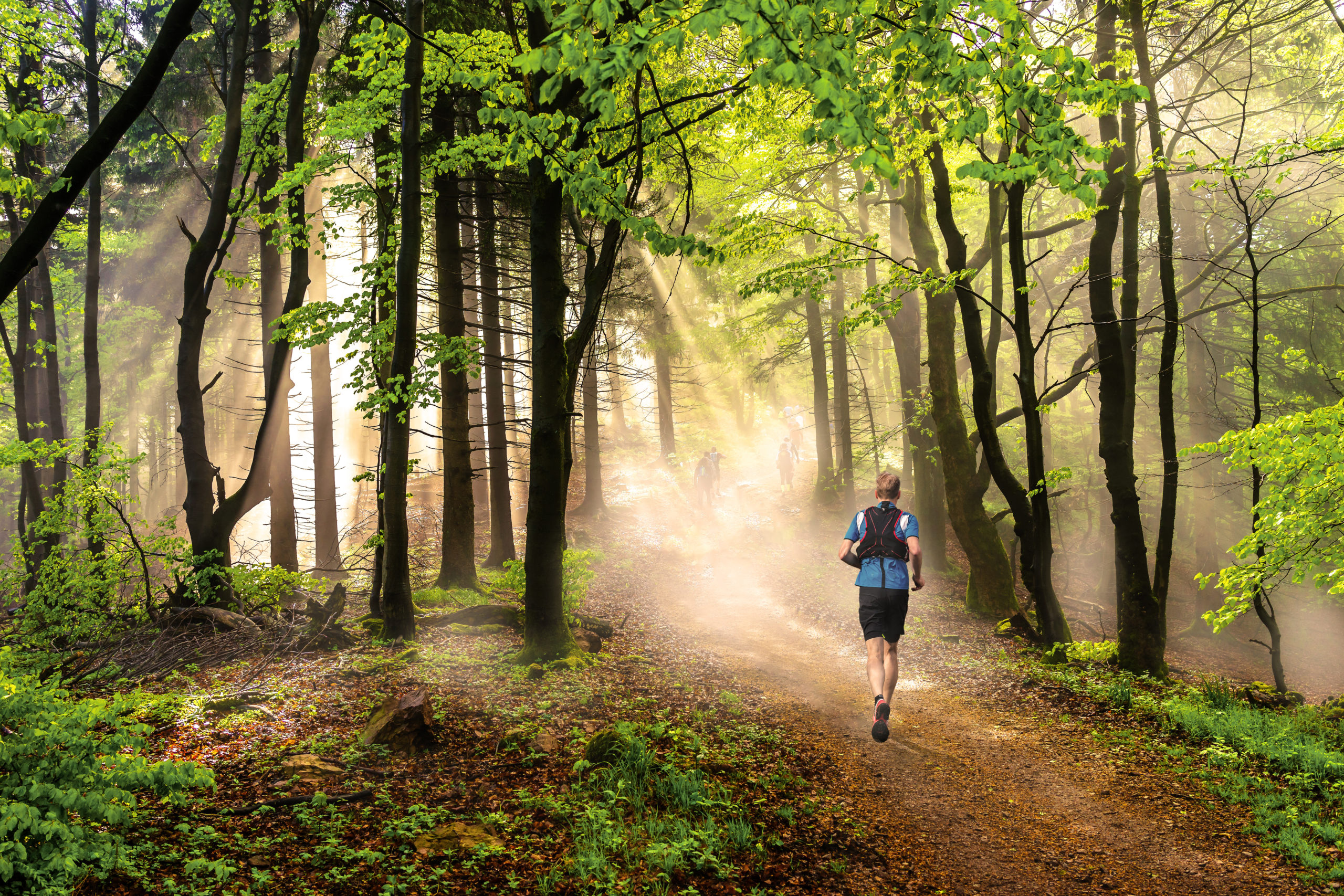 Man running through a forest at beautiful sunny weather Bison Ultra Trail