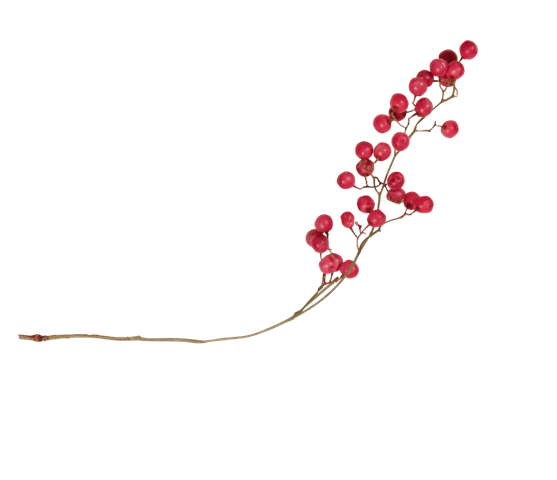 クリスマスディナー