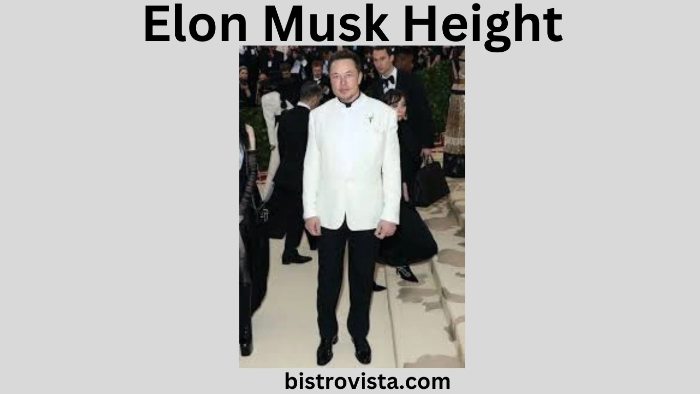 Elon Musk Height, Life, and Net Worth Bistro Vista