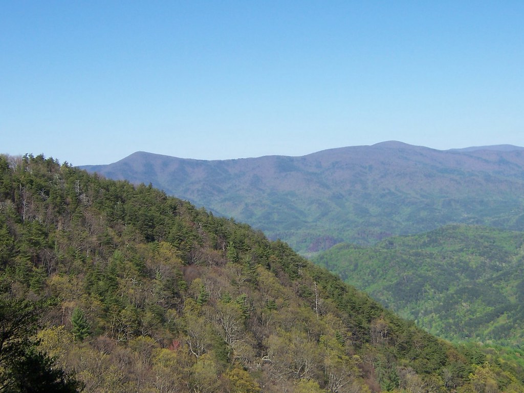 Bernhardt Funeral Home Ellijay Ga BERNHARDT FUNERAL HOME ELLIJAY GA