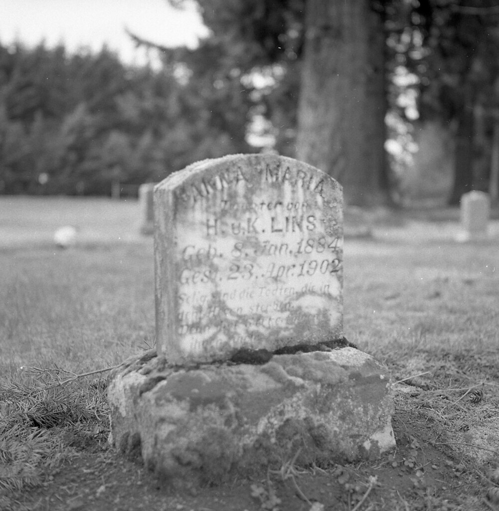 HOUSES FOR RENT IN SANDY OREGON HOUSES FOR RENT IN SANDY OREGON