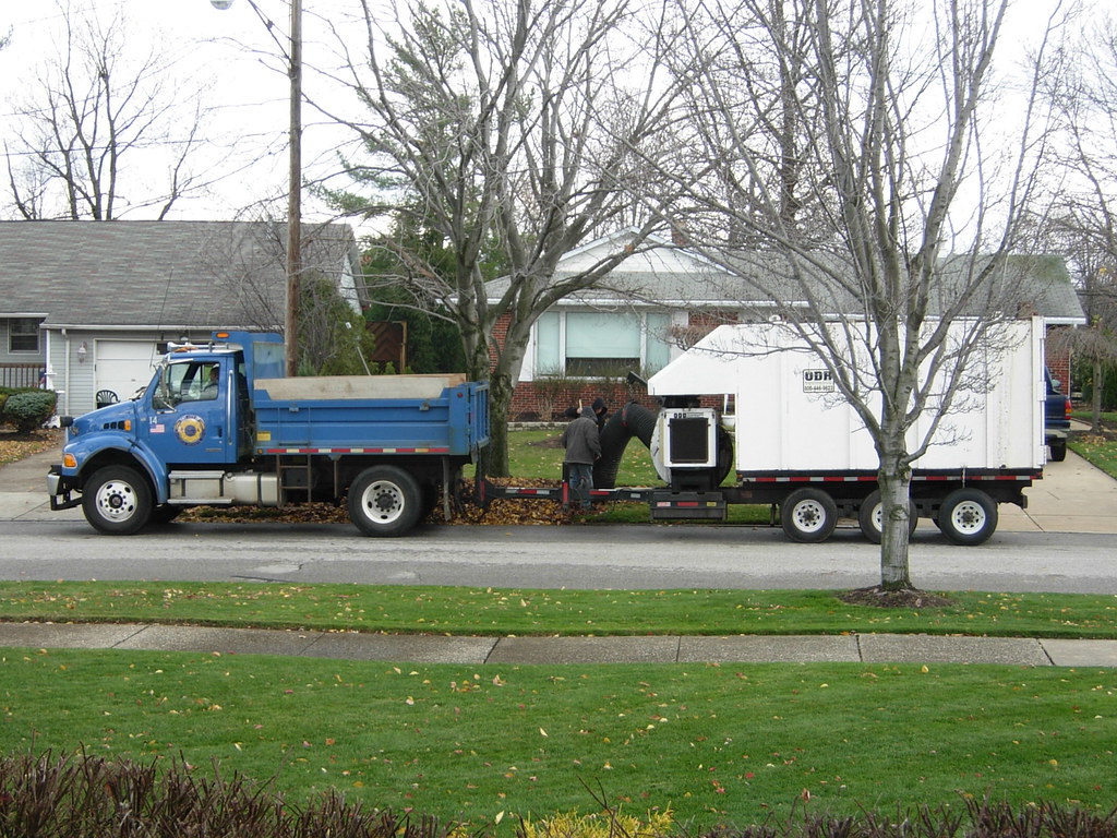 HOUSES FOR RENT IN MAYFIELD HEIGHTS OHIO HOUSES FOR RENT IN MAYFIELD