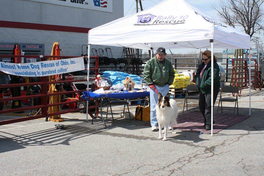 TRACTOR SUPPLY RIDING LAWN MOWERS TRACTOR SUPPLY RIDING LAWN MOWERS