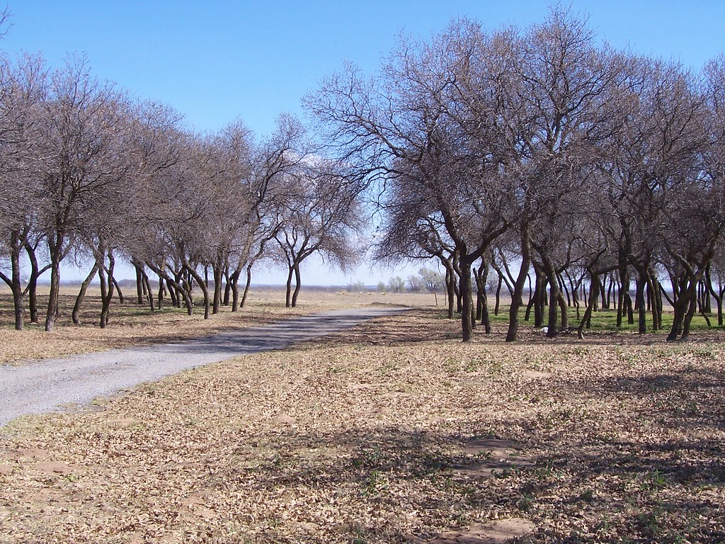 RACE CARS FOR SALE IN OKLAHOMA RACE CARS FOR SALE IN OKLAHOMA