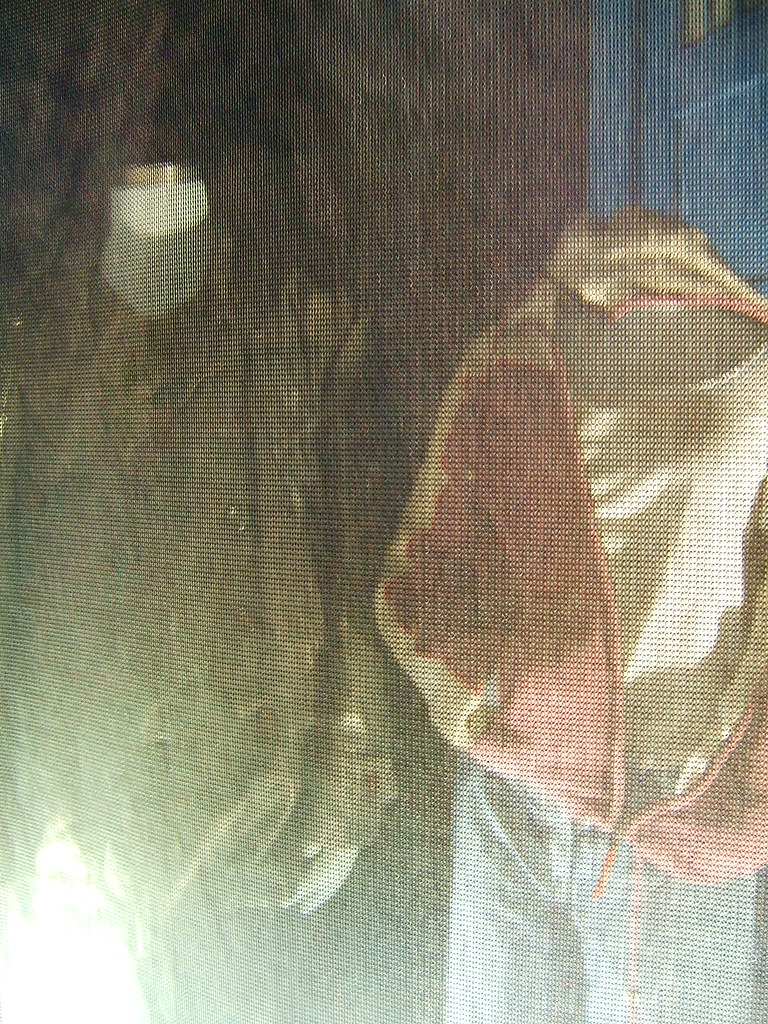 DRY CLEANERS CARDIFF DRY CLEANERS Dry Cleaners Cardiff Carpet