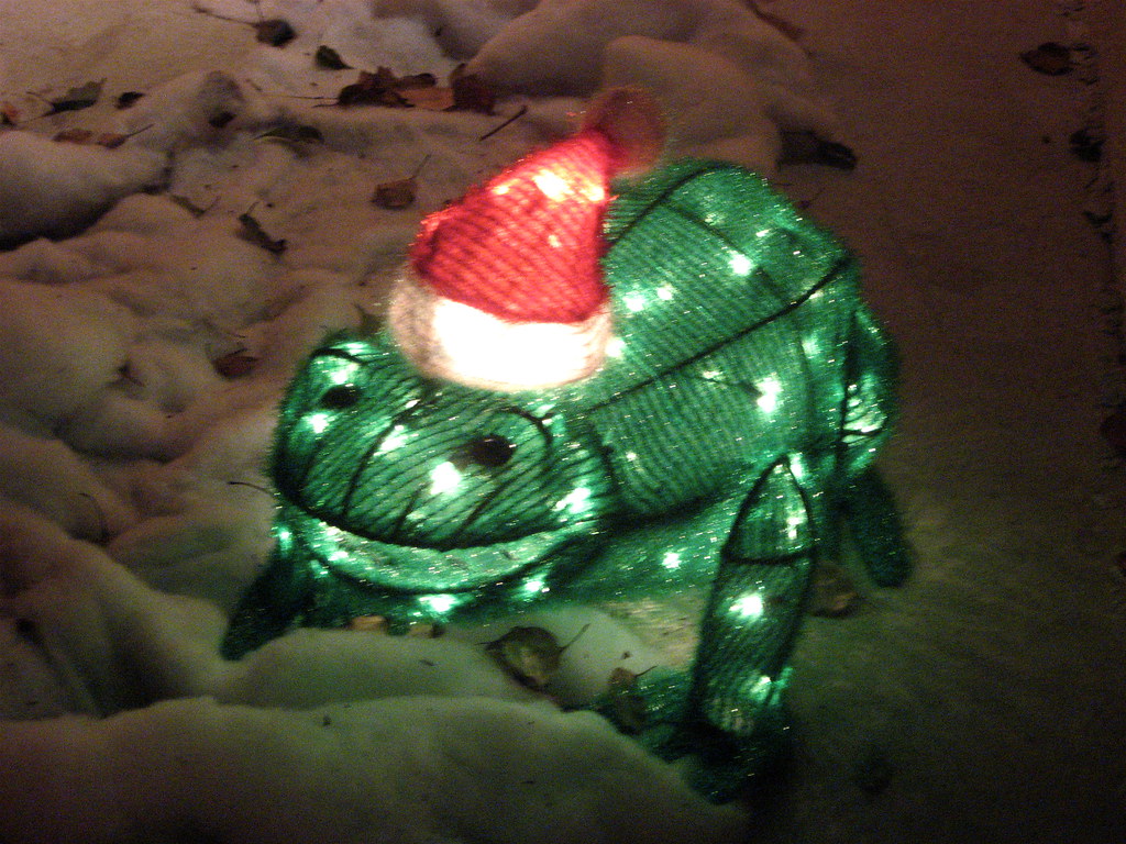 OUTDOOR CHRISTMAS DECORATIONS LIGHTS