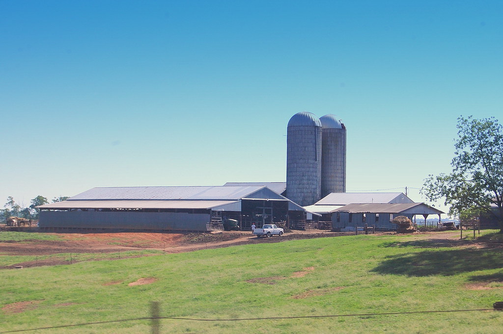 SPARTANBURG COUNTY INMATE SEARCH INMATE SEARCH Spartanburg County