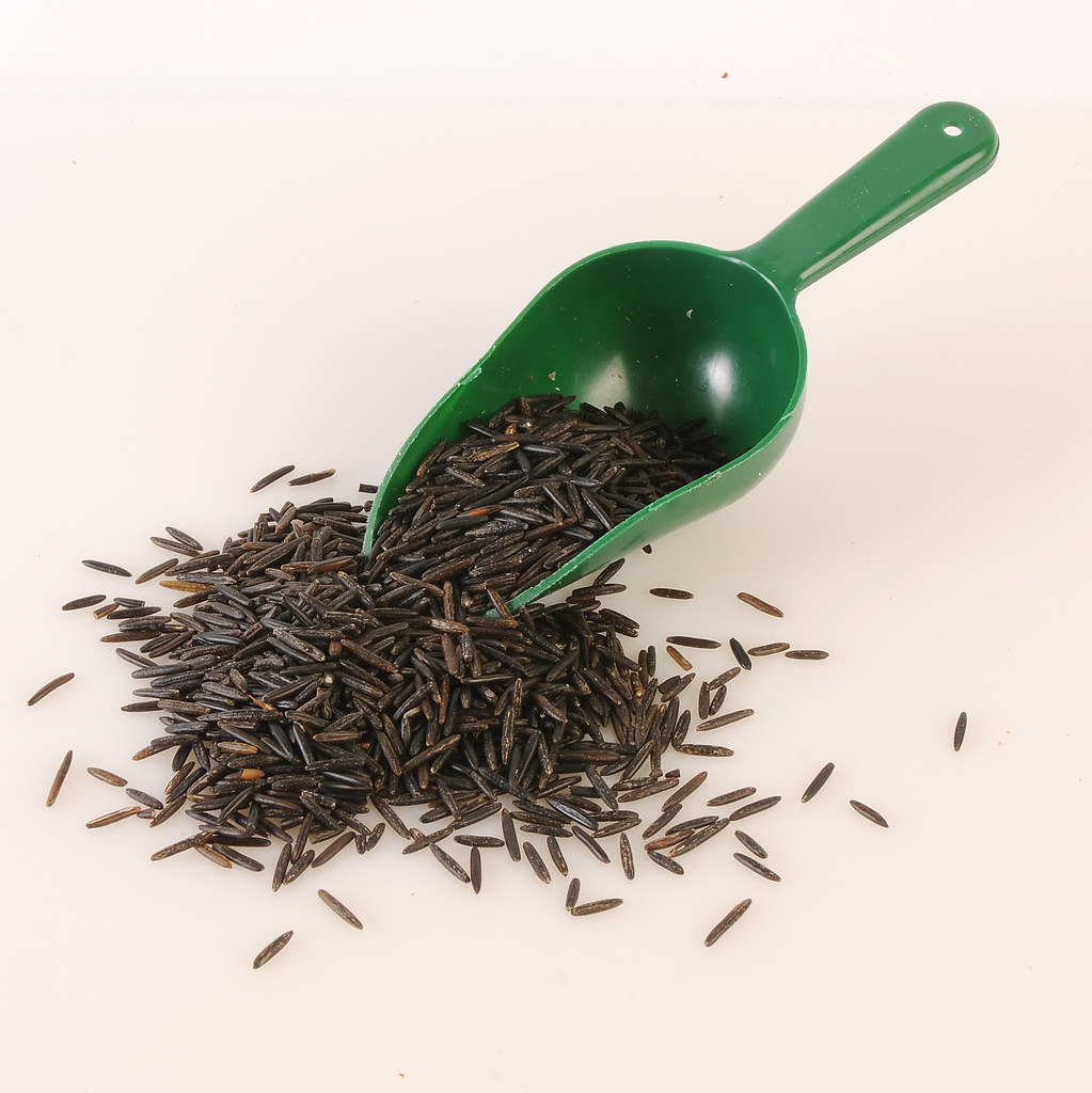 IS WILD RICE GLUTEN FREE RICE GLUTEN FREE IS WILD RICE GLUTEN FREE