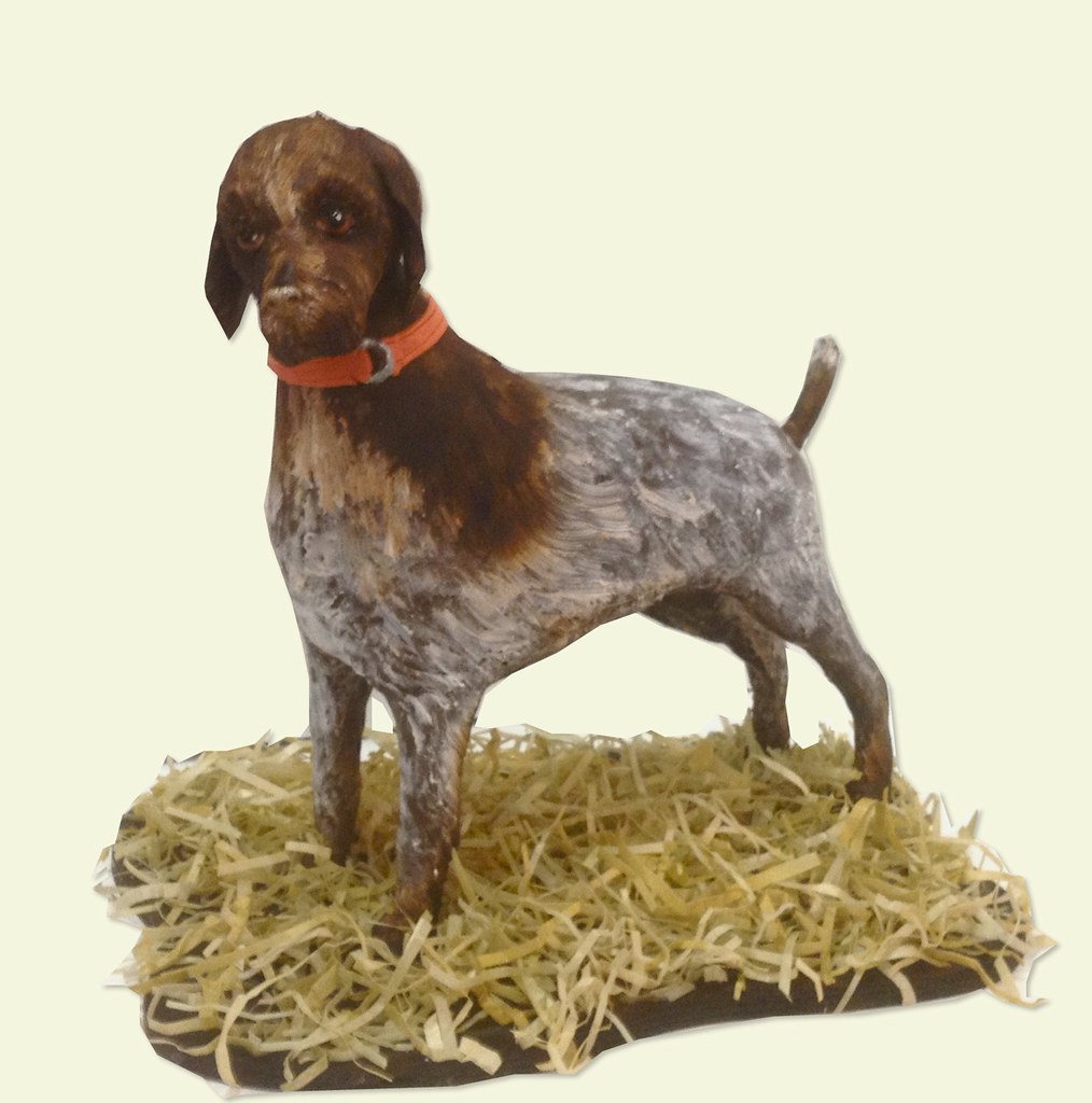WIREHAIRED DACHSHUND PUPPIES FOR SALE WIREHAIRED DACHSHUND PUPPIES