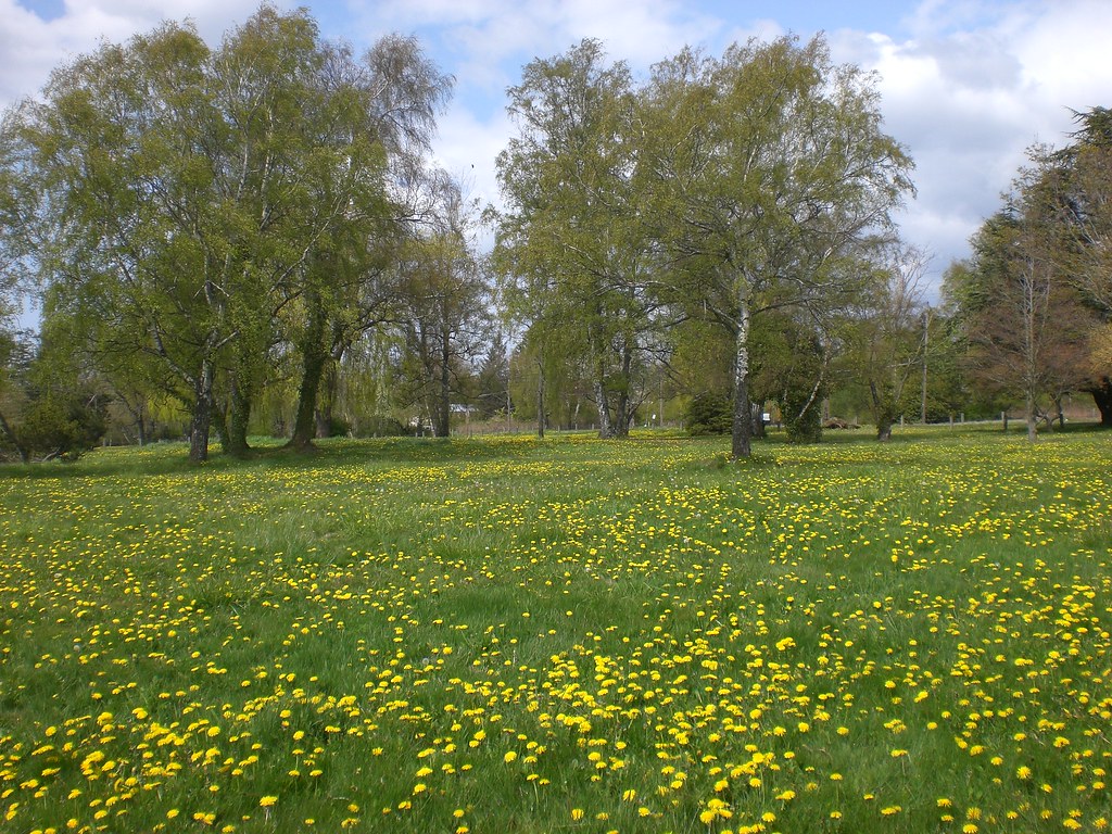 BELLINGHAM APPLIANCE CENTER. APPLIANCE CENTER Bellingham appliance