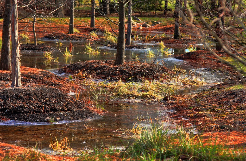 GROUNDS FOR DIVORCE IN MARYLAND GROUNDS FOR DIVORCE GROUNDS FOR DIVORCE IN MARYLAND legal