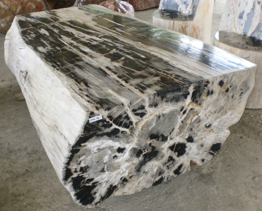 HOW TO CLEAN PETRIFIED WOOD