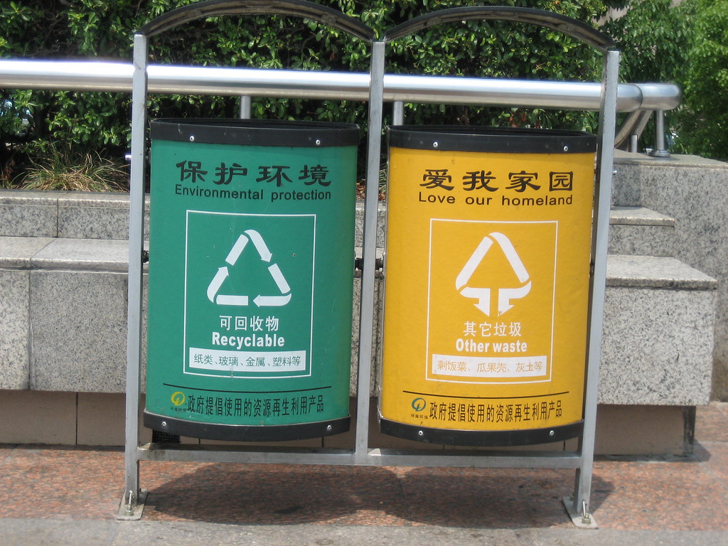 CHINA S ENVIRONMENTAL ISSUES CHINA S ENVIRONMENTAL ISSUES
