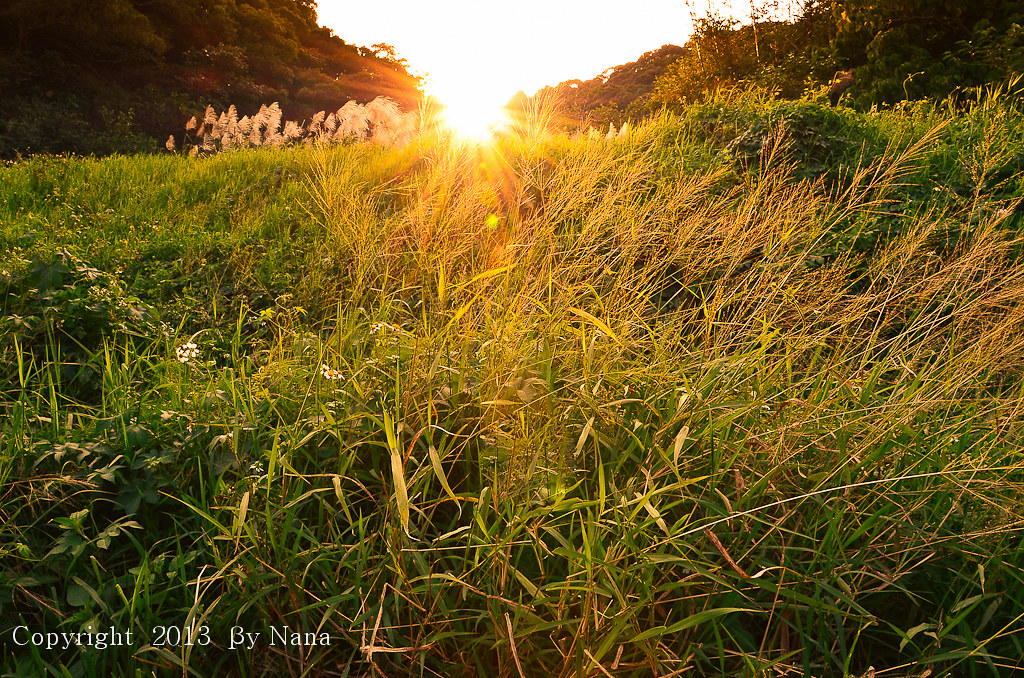 LIGHTING DIRECT COUPON CODE 20 OFF LIGHTING DIRECT COUPON CODE 20 OFF