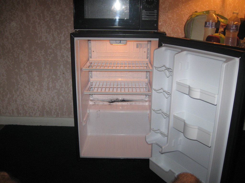 BLACK MOLD IN REFRIGERATOR