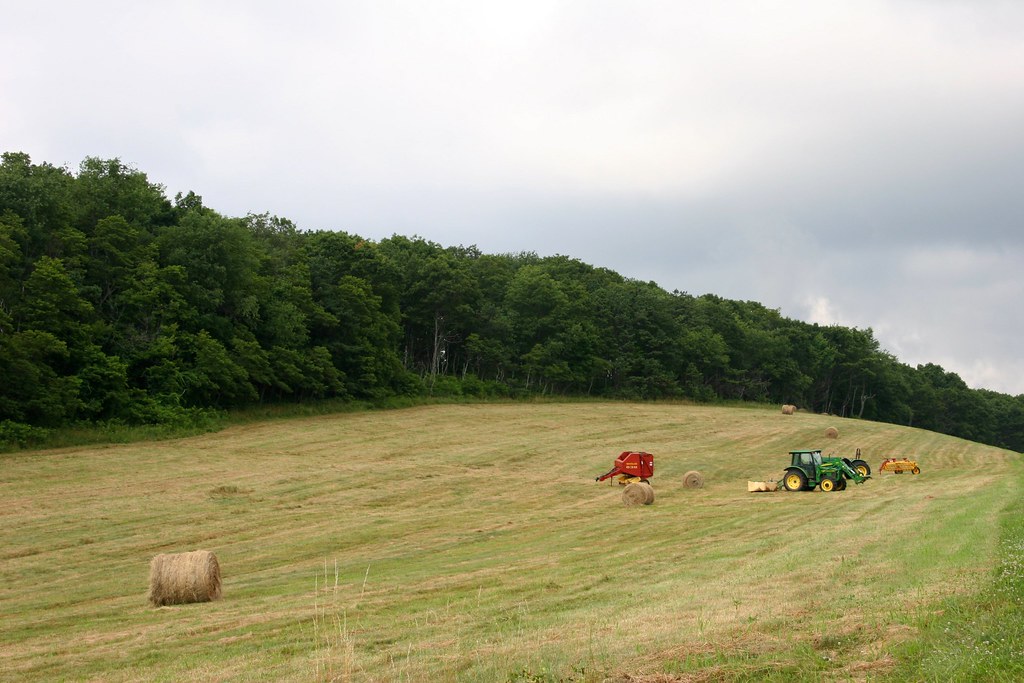 CHRISTMAS TREE FARM EQUIPMENT