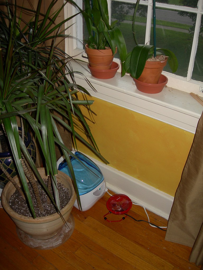 GARDENWEB HOME DECORATING FORUM